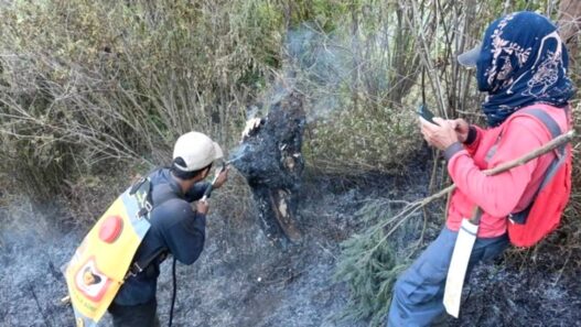 Jalur Pendakian Gunung Semeru Ditutup Total