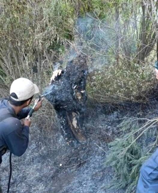 Jalur Pendakian Gunung Semeru Ditutup Total