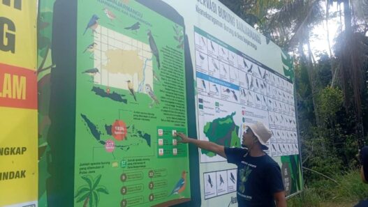 Jumlah Spesies Burung Naik Dua Kali Lipat