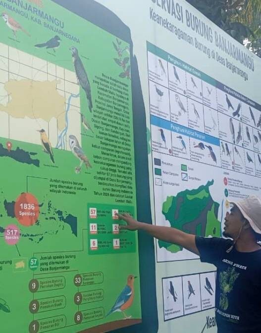 Jumlah Spesies Burung Naik Dua Kali Lipat