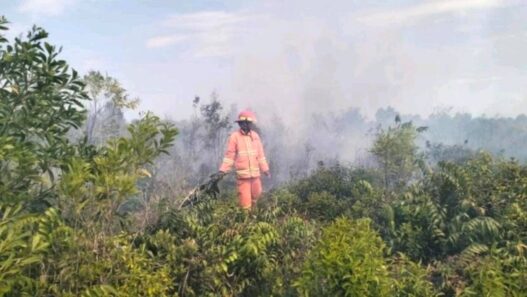 Karhutla di Sekitar IKN Capai 470 Kejadian
