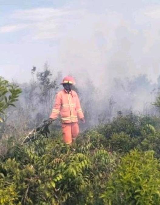 Karhutla di Sekitar IKN Capai 470 Kejadian