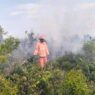 Karhutla di Sekitar IKN Capai 470 Kejadian