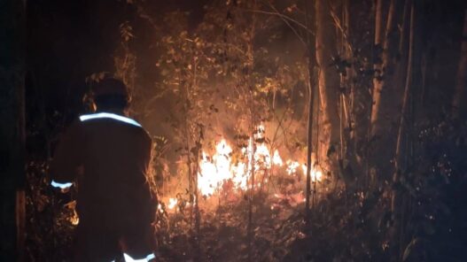 Karhutla Meluas, Banyumas Catat 21 Kejadian