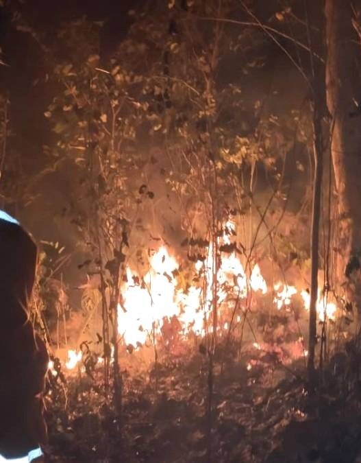 Karhutla Meluas, Banyumas Catat 21 Kejadian