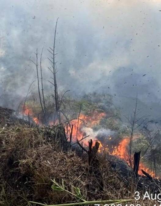 Kebakaran Hutan Gunung Bromo hingga Probolinggo