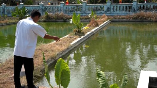 Kemarau, BBI Pringtutul Perketat Perawatan Benih Ikan