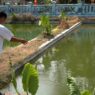 Kemarau, BBI Pringtutul Perketat Perawatan Benih Ikan