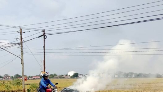 Kemarau Panjang, Rawan Potensi Karhutla