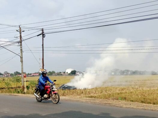 Kemarau Panjang, Rawan Potensi Karhutla