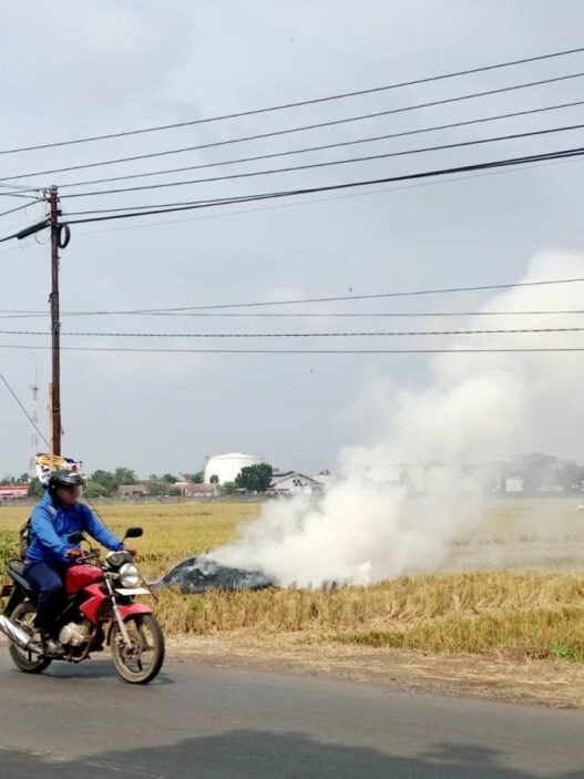 Kemarau Panjang, Rawan Potensi Karhutla