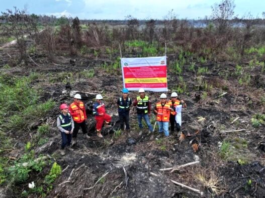 Kemenhut Bongkar Dugaan Pembukaan Hutan untuk Sawit