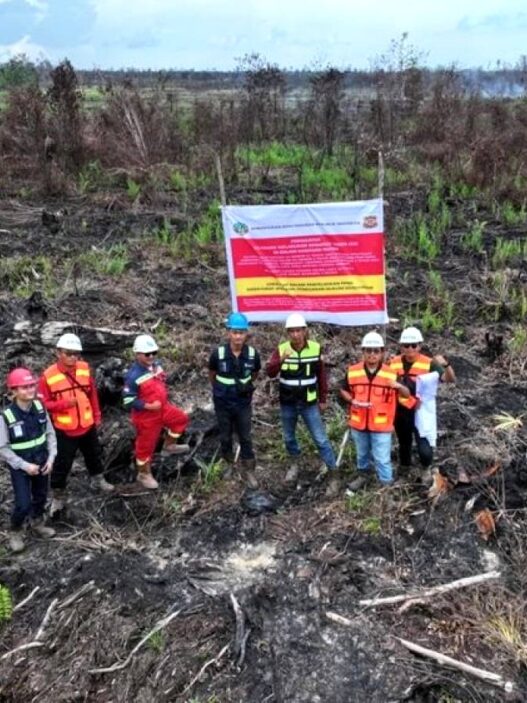 Kemenhut Bongkar Dugaan Pembukaan Hutan untuk Sawit
