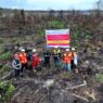 Kemenhut Bongkar Dugaan Pembukaan Hutan untuk Sawit