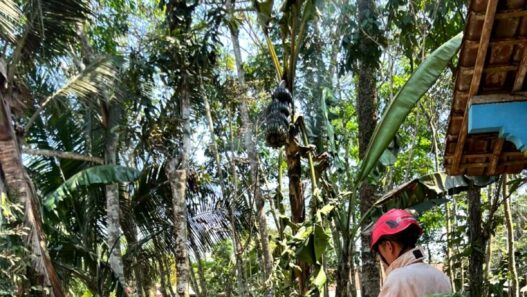 Korsleting Listrik Sambar Bensin Bakar Warung