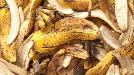 Kulit Pisang