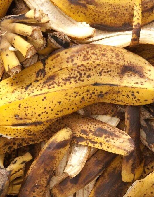 Kulit Pisang