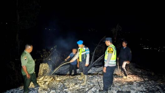 Lagi, Kebakaran Landa Lahan Perhutani
