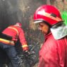 Lahan dan Rumah Terbakar Dalam Sehari