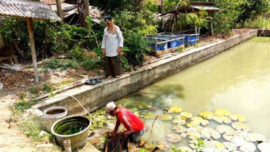 Lahan Desa Canduk Diverifikasi