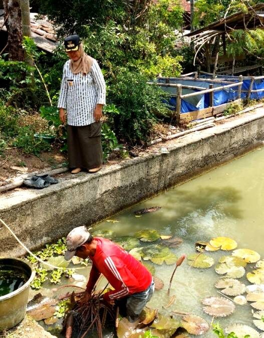Lahan Desa Canduk Diverifikasi