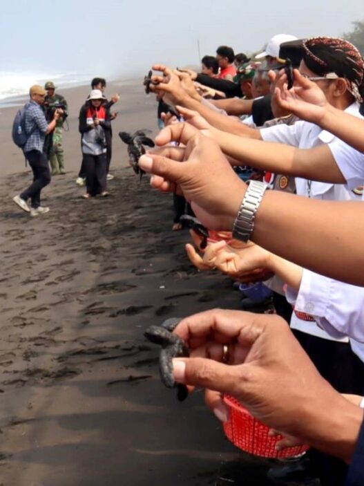 Lembupurwo Perkuat Konservasi Pesisir