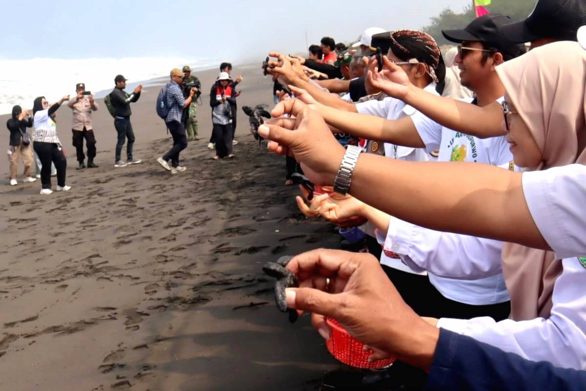 Lembupurwo Perkuat Konservasi Pesisir