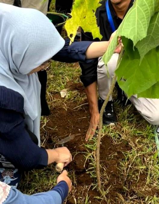 Lereng Rawan Longsor Jadi Prioritas Penghijauan