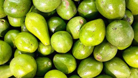 Manfaat Alpukat Bagi Tubuh