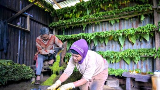Mbako Garangan Terancam Hilang