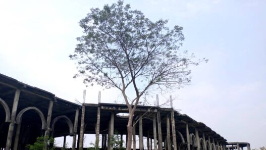 Pembangunan PIC Dipastikan Kembali Mangkrak