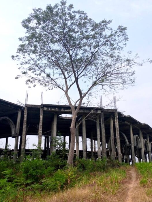 Pembangunan PIC Dipastikan Kembali Mangkrak