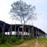 Pembangunan PIC Dipastikan Kembali Mangkrak