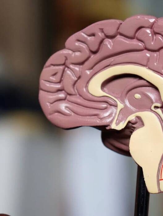 Penelitian Terbaru Pulihkan Otak dari Stroke