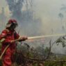 Penumpang Wajib Dapat Refund Penuh
