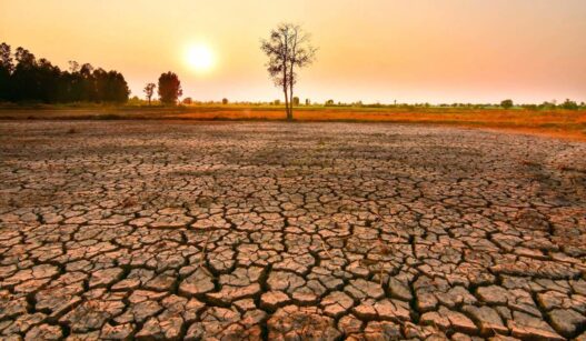 Perbedaan El Nino dan Musim Kemarau