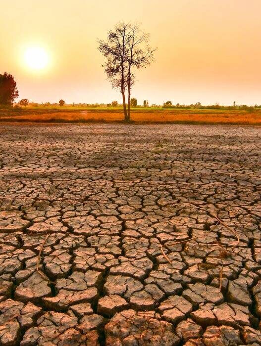 Perbedaan El Nino dan Musim Kemarau