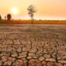 Perbedaan El Nino dan Musim Kemarau