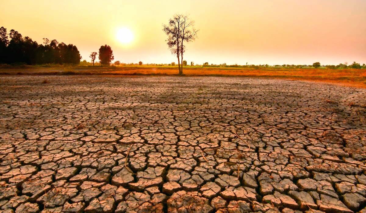 Perbedaan El Nino dan Musim Kemarau