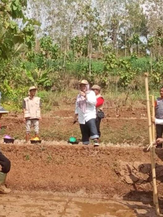 Petani Karanggintung Gunakan Metode Tabela