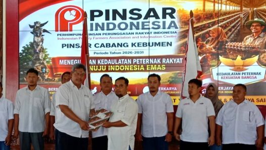 Pinsar Perjuangkan Harga Telur Sesuai HAP
