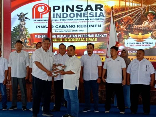 Pinsar Perjuangkan Harga Telur Sesuai HAP