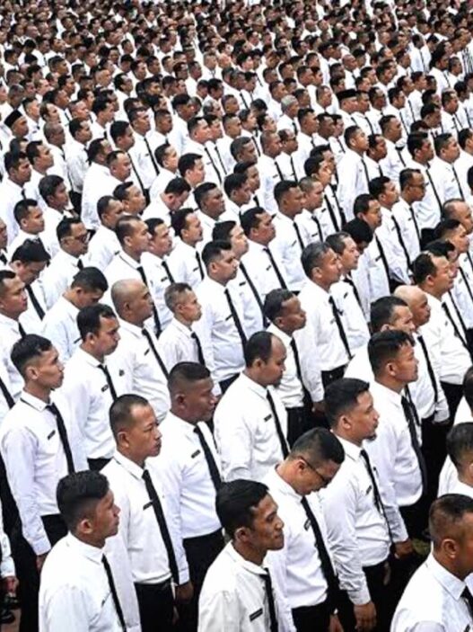 PPPK Paruh Waktu