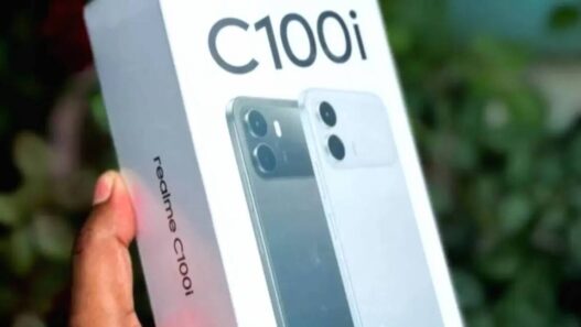 Realme C100i