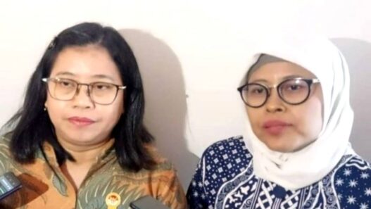 Saksi Kasus Febrie Dapat Perlindungan LPSK