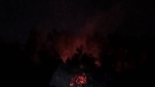 Satu Hektare Lahan Terbakar