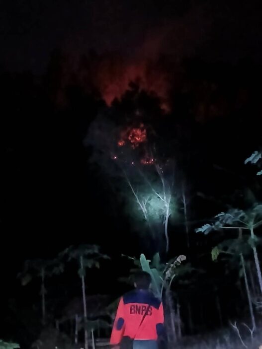 Satu Hektare Lahan Terbakar