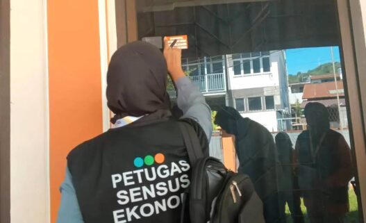 Sensus Ekonomi