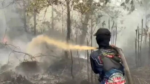 Tersangka Karhutla Terus Bertambah