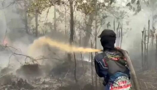 Tersangka Karhutla Terus Bertambah